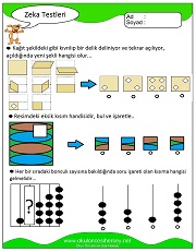 Zeka Gelişim Testleri